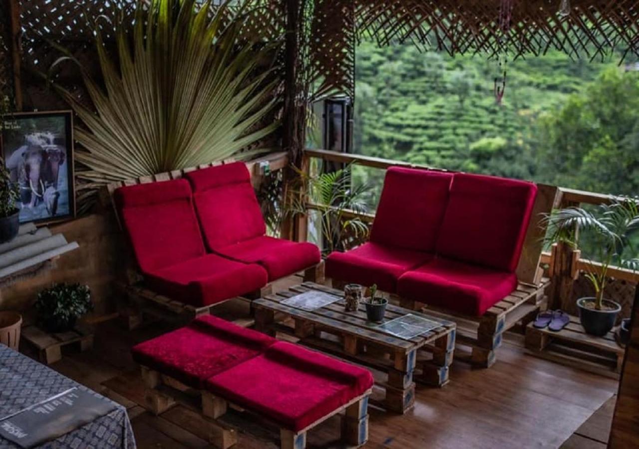 Tree House Cafe Ella Hostel Buitenkant foto
